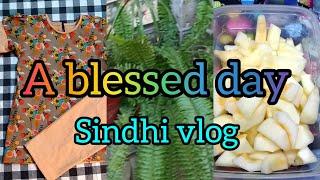 A blessed day /my daily routine 🫕 ️🪡🪴/sindhi vlog 