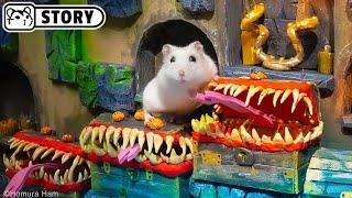 ️ Hamster in the Dungeons & Dragons Maze - Lost Treasures ️ Homura Ham