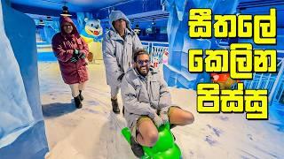 වයසට ගැලපෙන වැඩද මේ? - VLOG 384