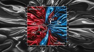 eccxo Music - Adrenaline (Official Audio)