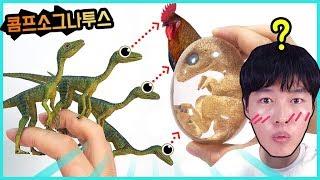 쥬라기월드 콤프소그나투스 치키노사우루스 리뷰 Compsognathus chickenosaurus stop motion | 히히튜브