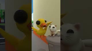 POV: You see a random cat on the street#shorts #babyduck #cat