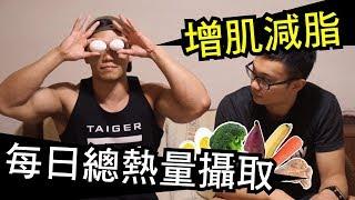 【TDEE】增肌or減脂期間的總熱量攝取｜健人飲食｜2017ep19