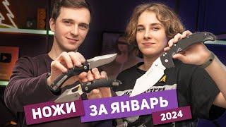 Новые НОЖИ за январь 2024