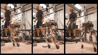 MIT Little HERMES Bipedal Robot With Two-Way Teleoperation