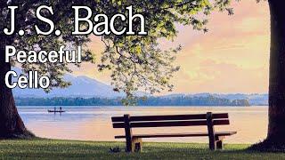 J. S. Bach Peaceful Cello Music CollectionㅣCello BGMㅣSoothing MusicㅣSleeping MusicㅣClassical Cello