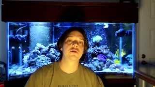 Mile High Reefers, Who am I? What's My Aquarium Keeping History?