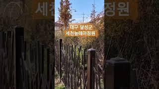 #대구가볼만한곳 #세천늪테마정원