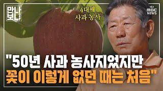 "50년 사과 농사지었지만···꽃이 이렇게 없던 때는 처음" | 만나보니