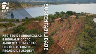 Projeto de Arborização e requalificação ambientais em zonas contíguas com o regadio de Alqueva