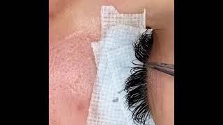 volume individual lashes wispy individual lash eyelash extensions wholesale lash vendor baisi lashes