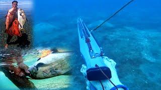 Trevally at Snapper  Another night & day na Pamamana #fishing #thankyouLord #fish #subscribers