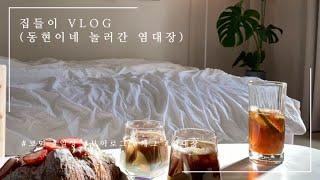 집들이 VLOG ( #개그 #브이로그 #일상 #코믹 #집들이 #염대장 )