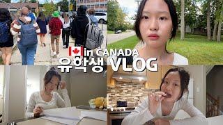 캐나다 유학vlog│캐나다 고등학생의 하루! 6시에 일어나서 등교하고 스쿨버스 타고 등교하기! 화재 대피 훈련도 하고~ 공부도 하고!│헬로음이유니