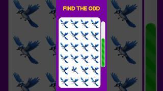 Find The Odd Emoji Out - birds Edition | Emoji Puzzles