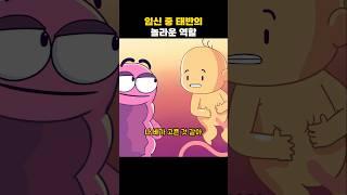 임신 중 태반의 놀라운 역할