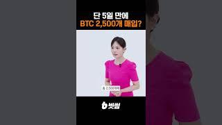 단 5일 만에 비트코인 2,500개 매입? 