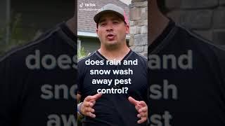 Does Rain Wash Away Pest Control? | #shorts