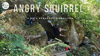 Angry Squirrel V6 - Carver Boulders Beta Breakdown/Analysis