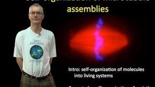 Tim Mitchison (Harvard) Part 1: Self-organization of microtubule assemblies