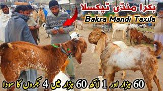 Bakra Mandi Taxila Latest Update 27 December 2024 | Live Deals Naseeb Ka Soda