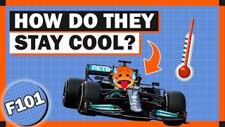 How Do F1 Drivers Stay Cool In REALLY Hot Temperatures?