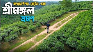 শ্রীমঙ্গল ভ্রমণের সবকিছু ২০২৪  | মাধবপুর লেক | লাউয়াছড়া | Sreemangal Tour