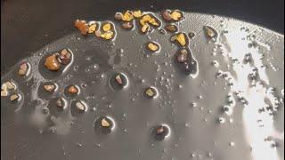 Behind the Stream: Cleaning Gold with Yosemite’s Pan!