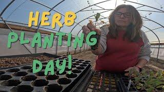 Planting A Lot Of Herbs Today!