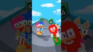 Skate Master Run: Sonic and Amy Vs Knuckles and Rouge