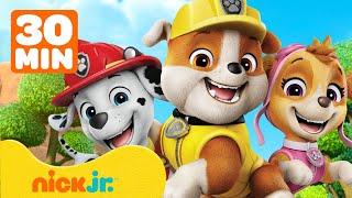 Rubble i jego Ekipa | Rubble i Marshall ratują las i niosą pomoc! | 30 min | Nick Jr. Polska