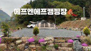 충북 캠핑장 방문 후기 ️ FNF캠핑장 강아지 동반 가능 캠핑장