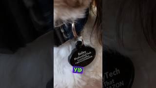 Yip Smart Tag: The Ultimate Pet Tracker