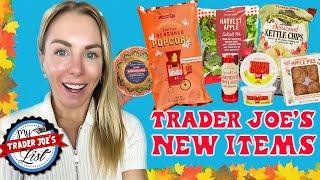 Can $200 Get Me EVERY Thanksgiving Flavor at Trader Joe’s? Feast Your Eyes on This Haul!