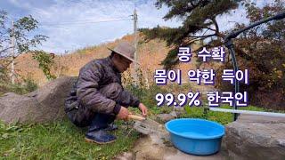 Rural daily healingㅣMountain bachelor Deuk-iㅣSoybean harvestㅣDeuk-i with weak bodyㅣ99.9% Korean