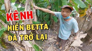 Thông Báo - Kênh Hiền Betta đã trở lại và dự án mới cùng Anh Nhí Betta