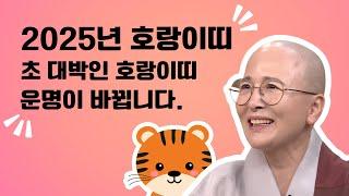 2025년 호랑이띠 초 대박 범띠 운명이 바뀝니다. 생활#법문[보현스님TV ]