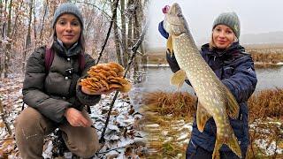 ПОКИНУЛА ЧОЛОВІКА - Я ВСЕ ЗМОЖУ САМА! ЗИМОВІ ГРИБИ! Ловля щуки на спінінг