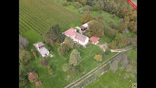 Kleines aber feines Weingut in atemberaubender Lage mit hochwertigem Landhaus (AAA-CM175)