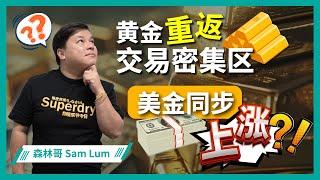 盘面分析#14102024 | 黄金重返上方交易密集区，美金也同步上涨？！市场波动即将来临？| 关键时刻如何布局？ | Sam森林哥的独家策略，助你抢占先机！