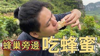 養蜂嗎？當著蜜蜂的面 吃它巢裡的蜂蜜！