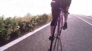 team ZEROYON PART1　ピスト　Ｆｉｘｅｄ　Ｇｅａｒ