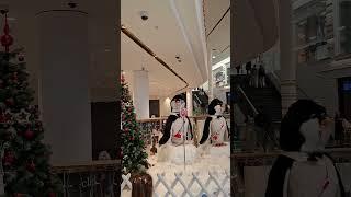 Fascinating Penguins  In Prague Westfield Chodov #ytshorts #ytshortsvideo #wanderlustshorts