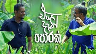 එයා දැන් පොරක්! | Royal Taprobanian