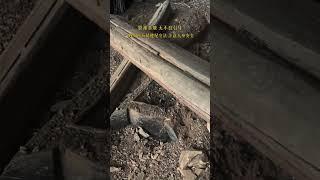 路边一废弃影视基地，用料绝对真材实料，#百年老石器民俗老物件 #户外 #徒步 #历史古迹 #文物