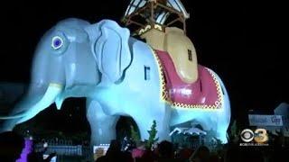 Lucy the Elephant officially unveiled in Margate after renovation