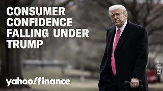 Consumer confidence drops amid Trump presidency