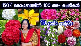 ഒരു ലോഡ് പൂച്ചെടികളുടെ ചാകര/ 100 ൽ പരം ചെടികൾ 150 ₹ comboവാങ്ങാം /plants for sale/Jasmin's world