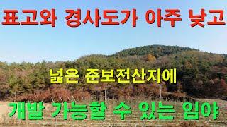 [1163][임야매매][땅매매] 넓은 준보전산지에 표고와 경사도가 아주 낮아 개발 행위도 가능할 수 있는 임야 입니다.