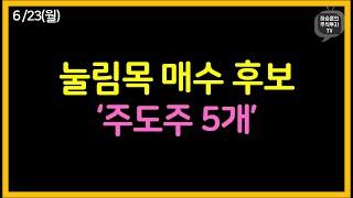 관심종목 ‘주도주 5개’ 눌림목 매수 예정입니다.